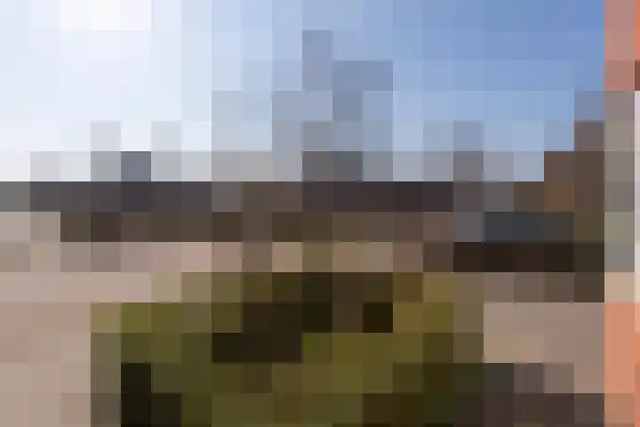 Renata 45 Oisterwijk thumbnail 26