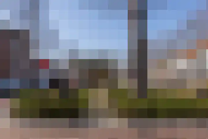 Renata 45 Oisterwijk thumbnail 29