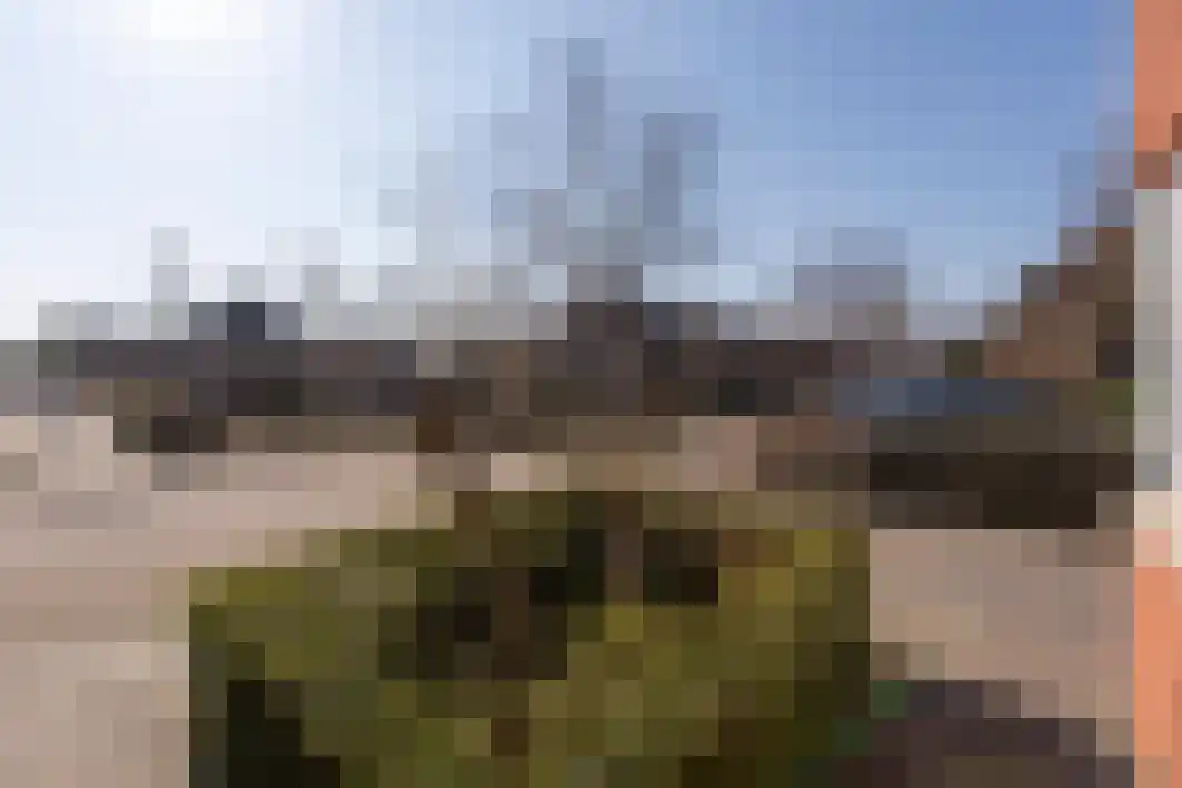Renata 45 Oisterwijk thumbnail 30