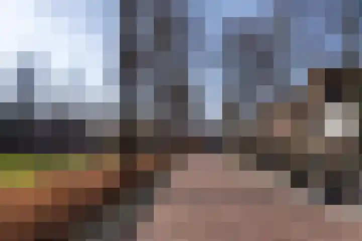 Renata 45 Oisterwijk thumbnail 30