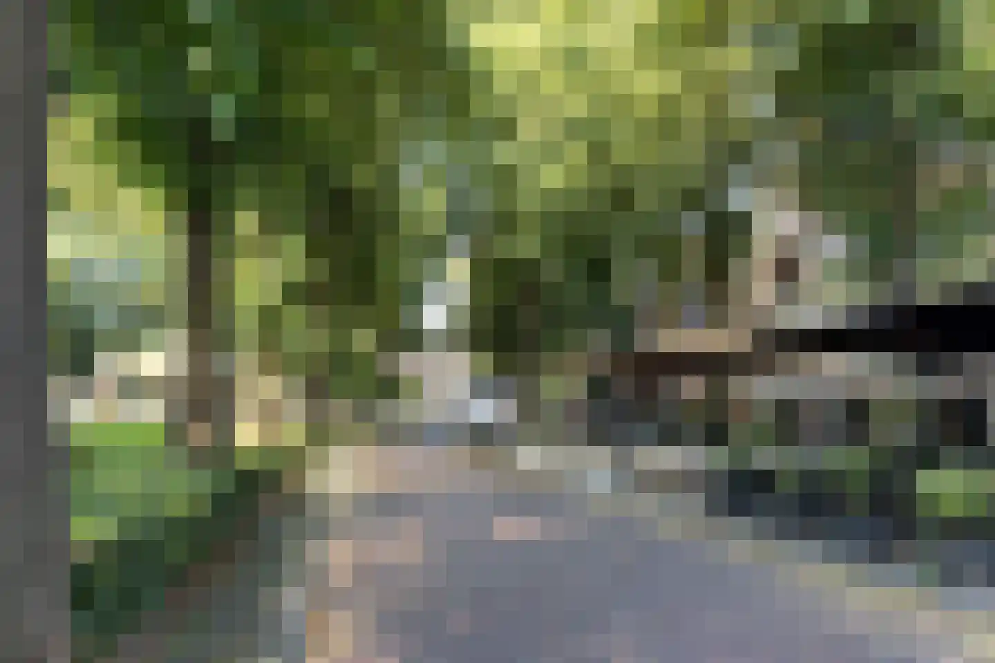 Renata 45 Oisterwijk thumbnail 31