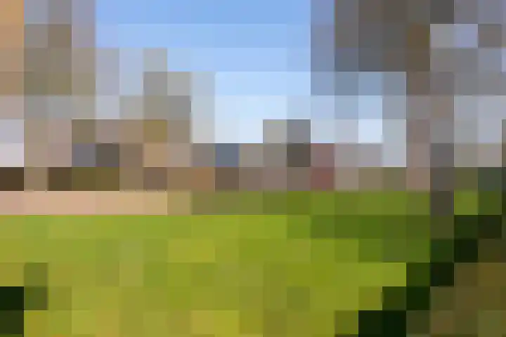 Renata 45 Oisterwijk thumbnail 32