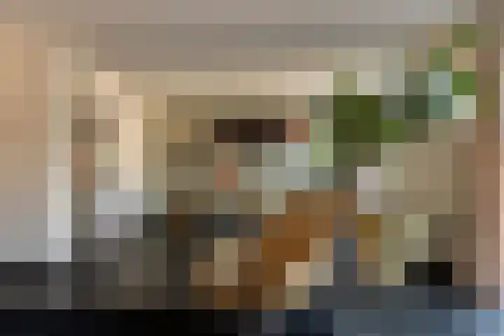 Renata 45 Oisterwijk thumbnail 6