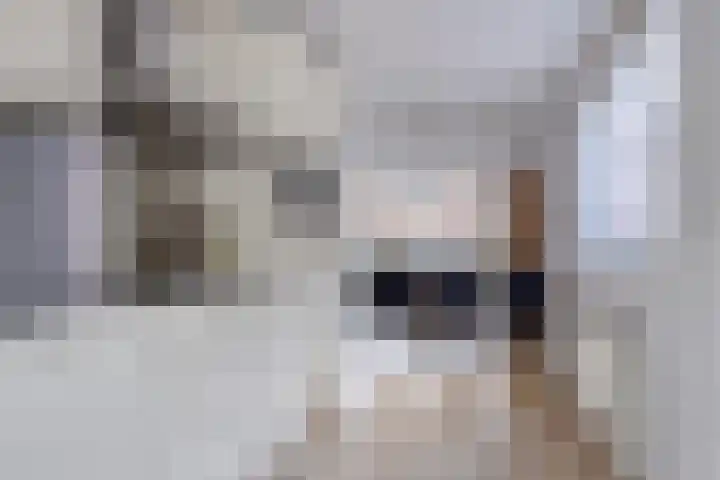 Renata 51 Oisterwijk thumbnail 16