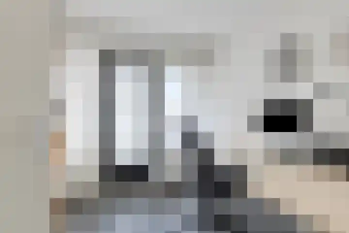 Renata 51 Oisterwijk thumbnail 25