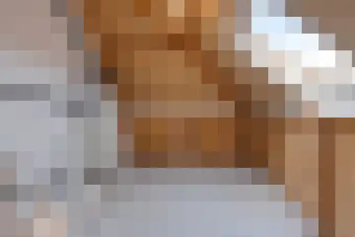 Renata 51 Oisterwijk thumbnail 29
