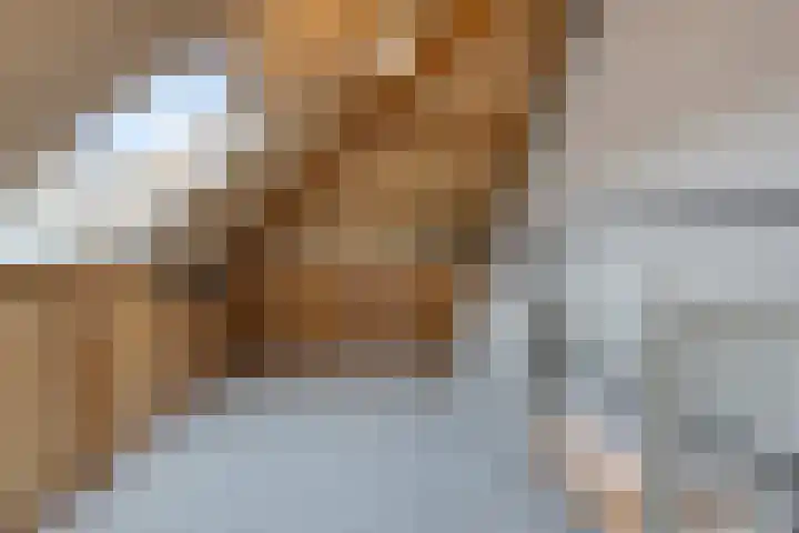Renata 51 Oisterwijk thumbnail 30