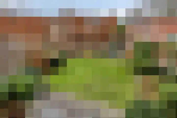 Renata 51 Oisterwijk thumbnail 31