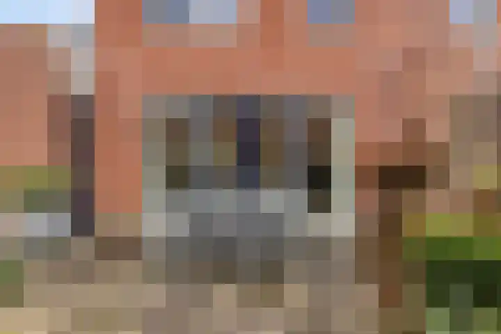 Renata 51 Oisterwijk thumbnail 35