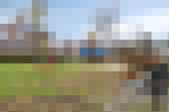 Renata 51 Oisterwijk thumbnail 40