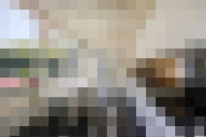 Renatusdonk 3 Roosendaal thumbnail 15