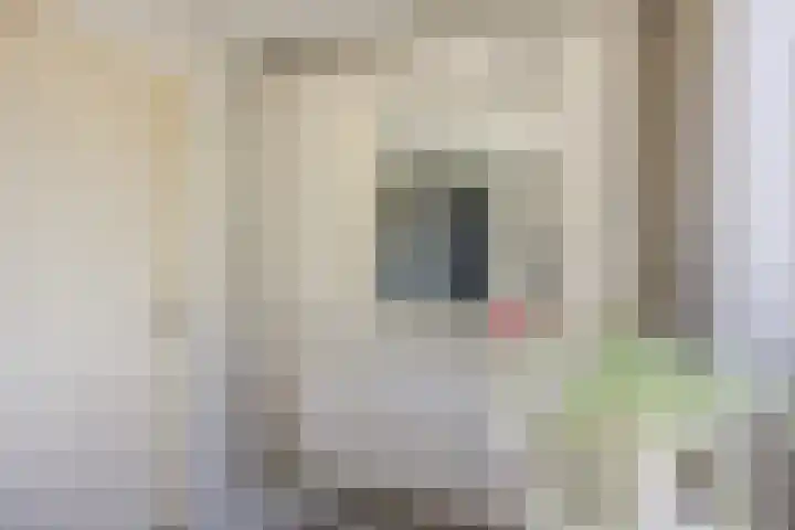 Renatusdonk 3 Roosendaal thumbnail 30