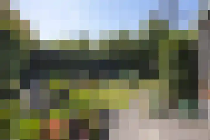 Renatusdonk 3 Roosendaal thumbnail 37