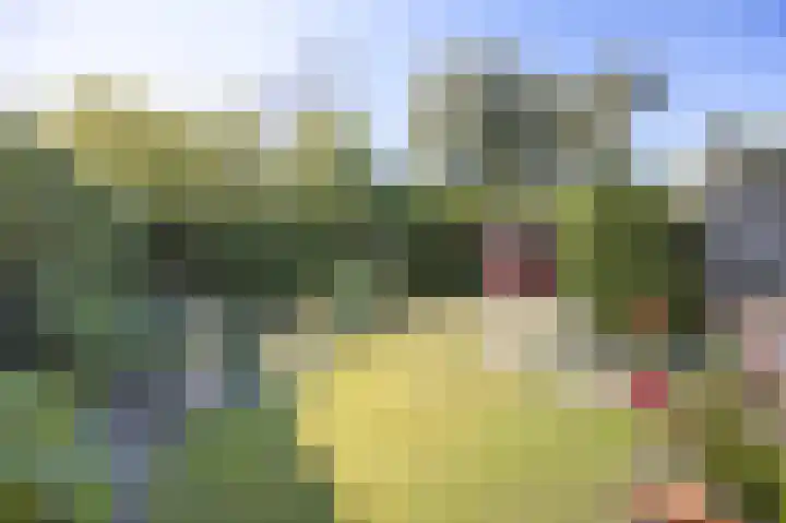 Renatusdonk 3 Roosendaal thumbnail 38