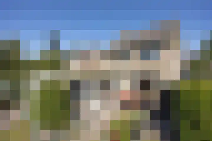 Renatusdonk 3 Roosendaal thumbnail 40