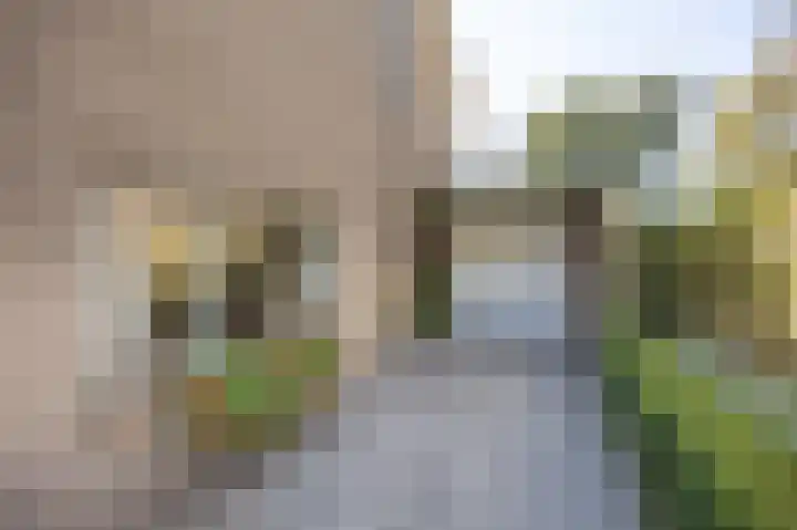 Renatusdonk 3 Roosendaal thumbnail 45