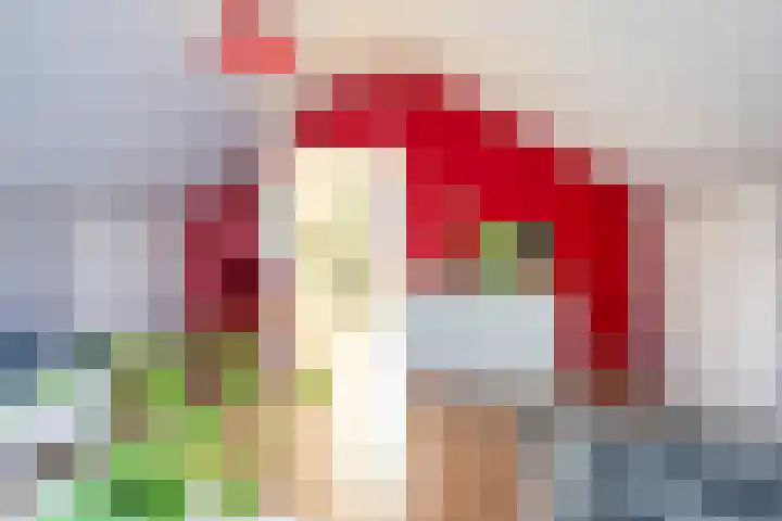 Renatusdonk 7 Roosendaal thumbnail 30