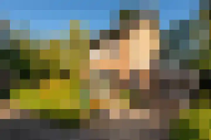 Renatusdonk 7 Roosendaal thumbnail 31