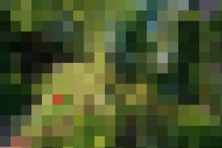 Renatusdonk 7 Roosendaal thumbnail 34