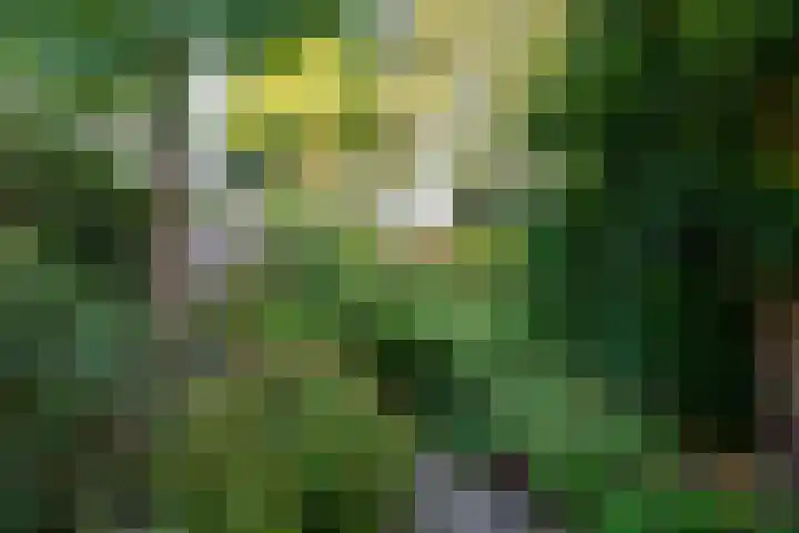 Renatusdonk 7 Roosendaal thumbnail 35