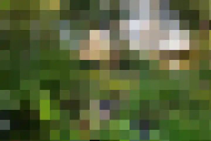 Renatusdonk 7 Roosendaal thumbnail 36