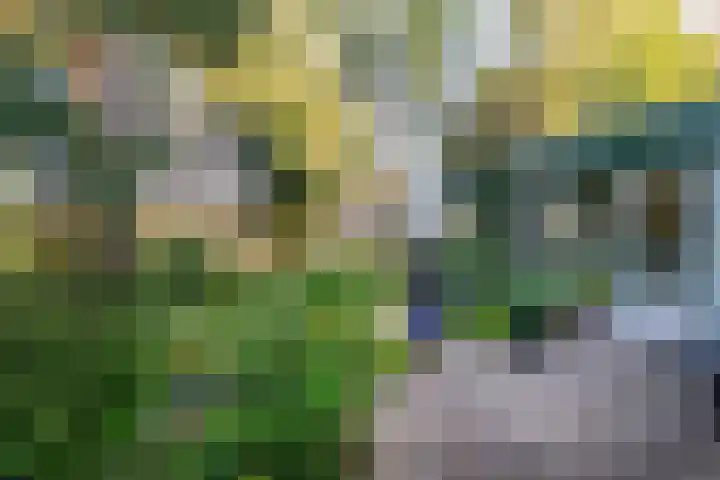 Renatusdonk 7 Roosendaal thumbnail 37