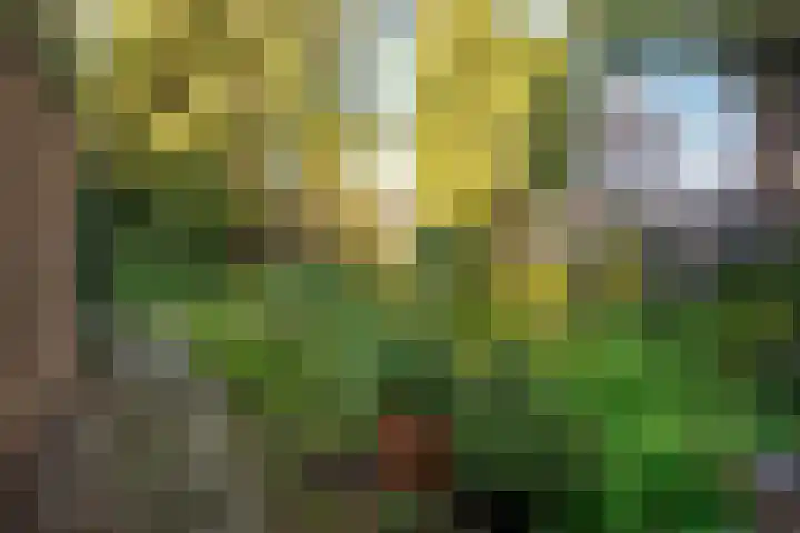 Renatusdonk 7 Roosendaal thumbnail 38