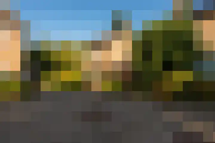 Renatusdonk 7 Roosendaal thumbnail 40