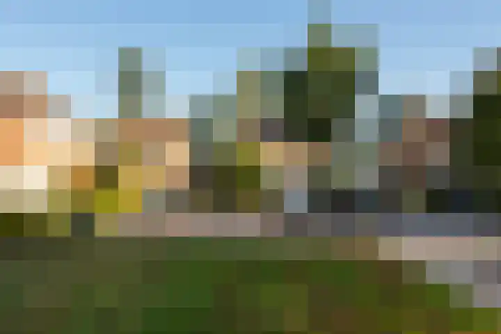 Renatusdonk 7 Roosendaal thumbnail 41
