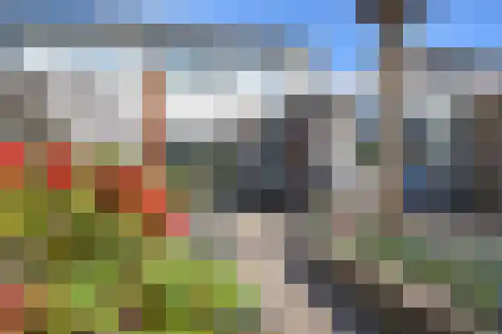 Renbaan 9 Burgum thumbnail 12