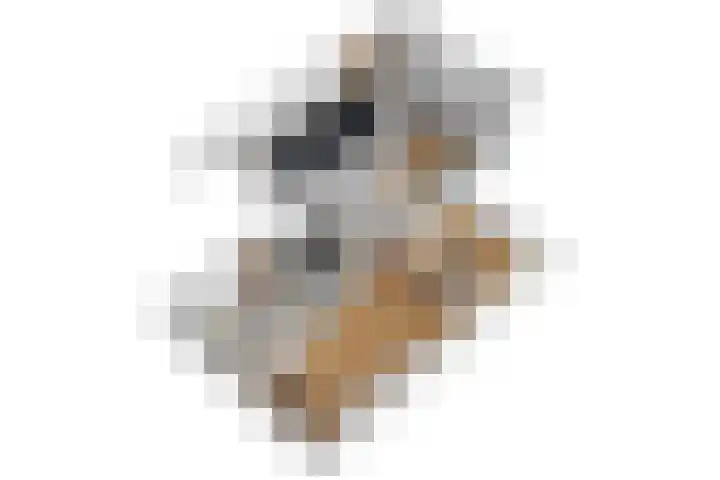 Renbaan 9 Burgum thumbnail 16