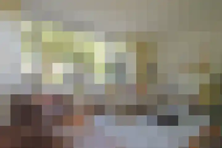 Renbaan 9 Burgum thumbnail 22
