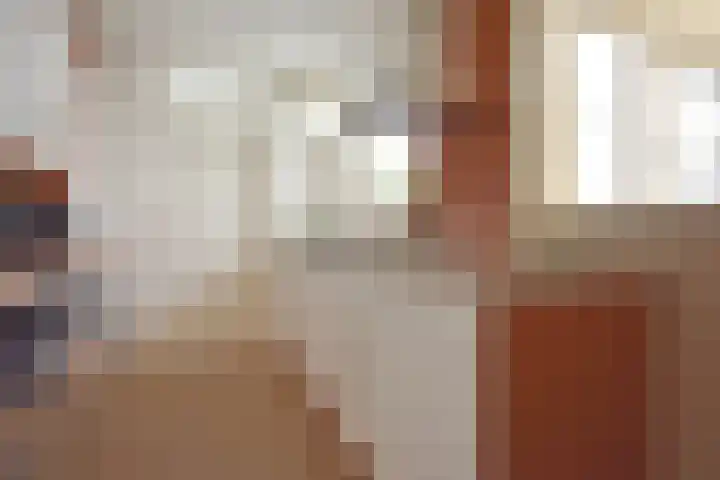 Renbaan 9 Burgum thumbnail 29