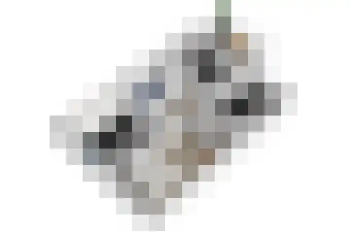 Renbaan 9 Burgum thumbnail 34
