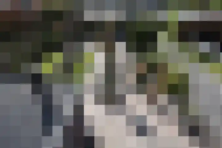 Renbaan 9 Burgum thumbnail 43