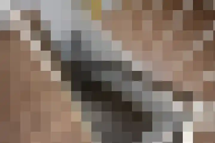 Renbaan 9 Burgum thumbnail 50
