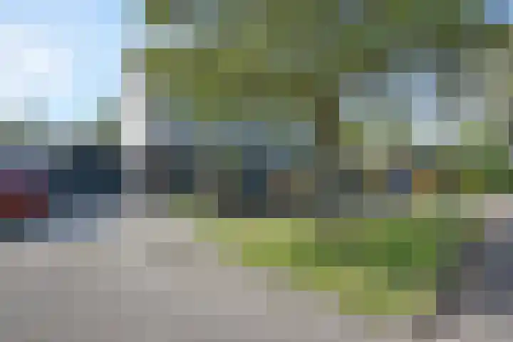 Renbaan 9 Burgum thumbnail 59