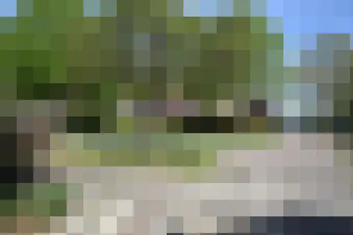Renbaan 9 Burgum thumbnail 6
