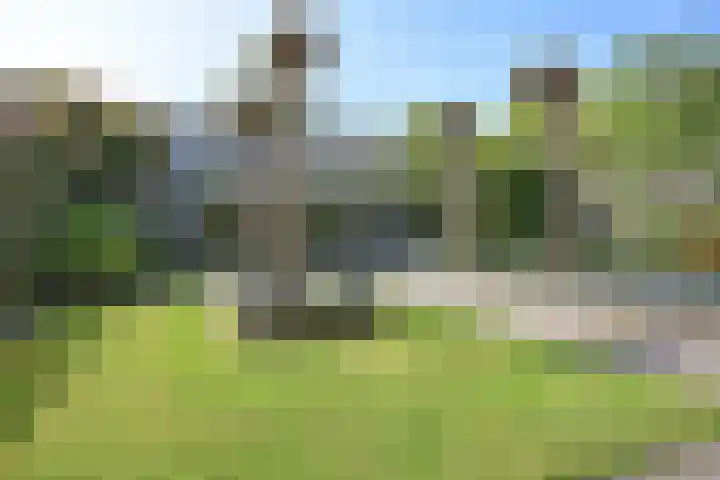Renbaan 9 Burgum thumbnail 8