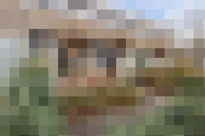 Renbaanstraat 11 Noordwolde thumbnail 5