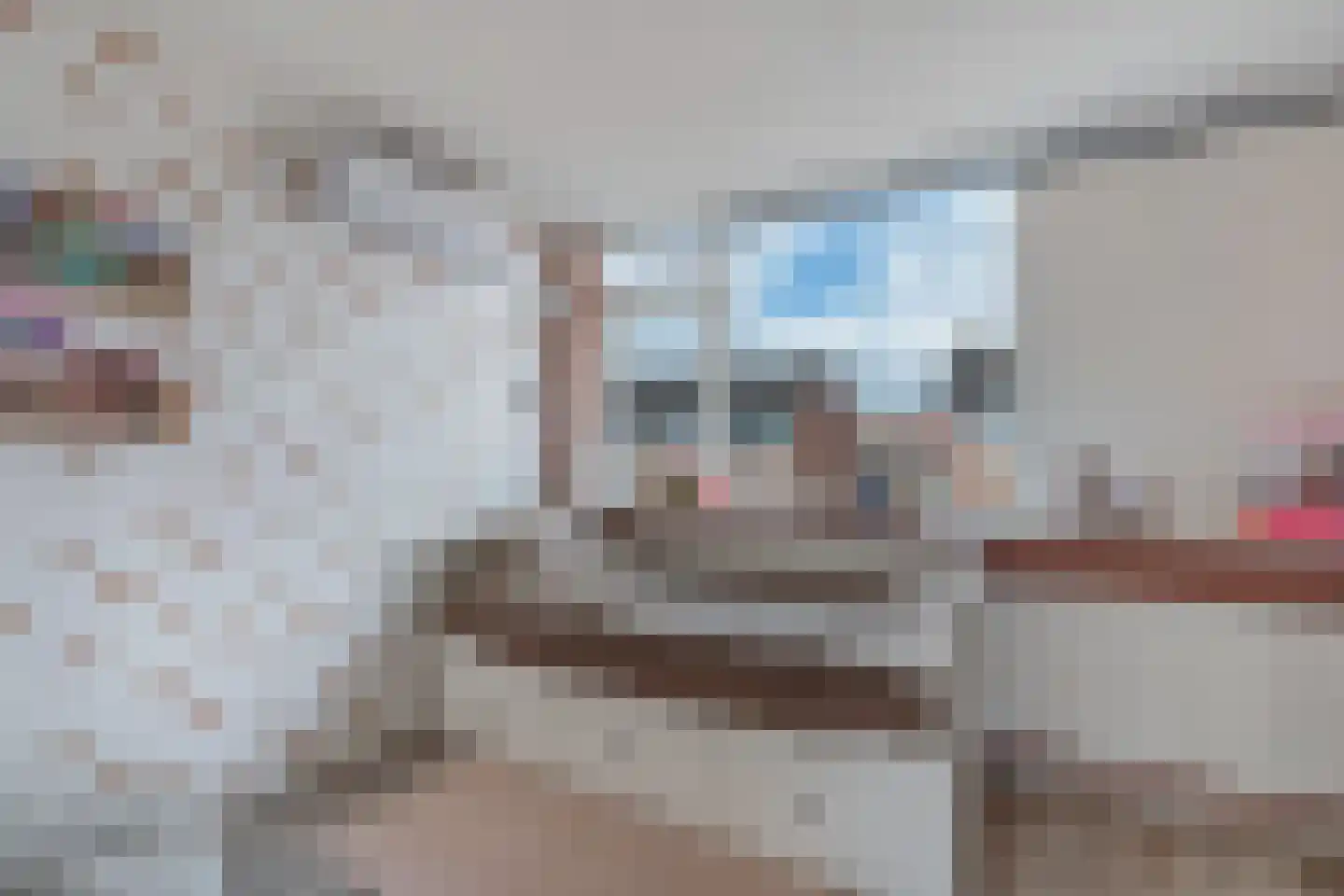 Renbaanstraat 21 Noordwolde thumbnail 22