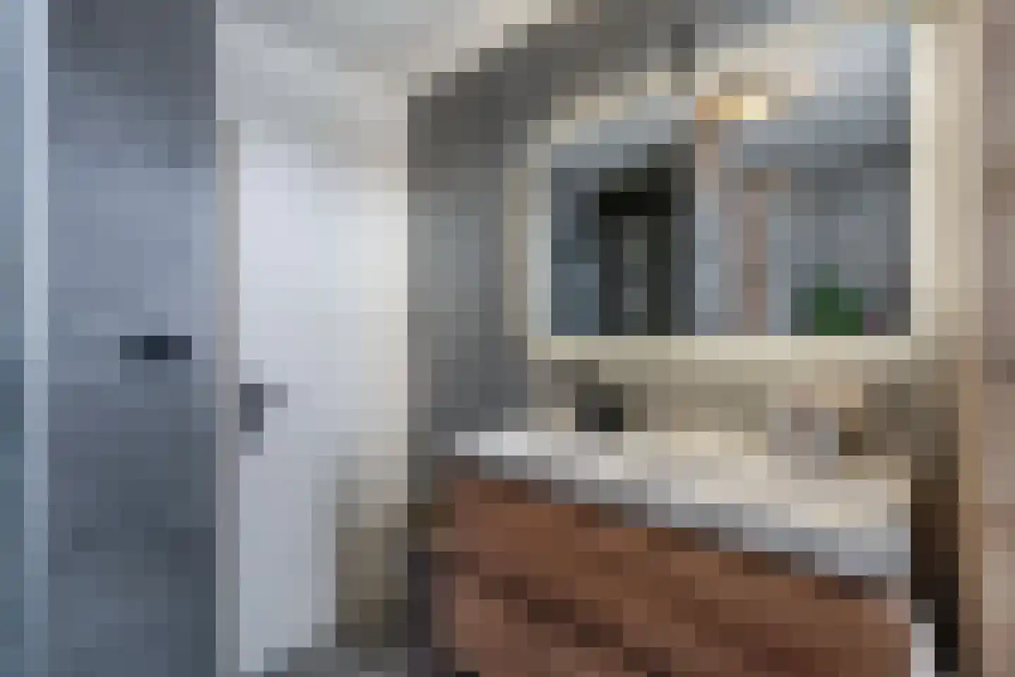 Renbaanstraat 21 Noordwolde thumbnail 25