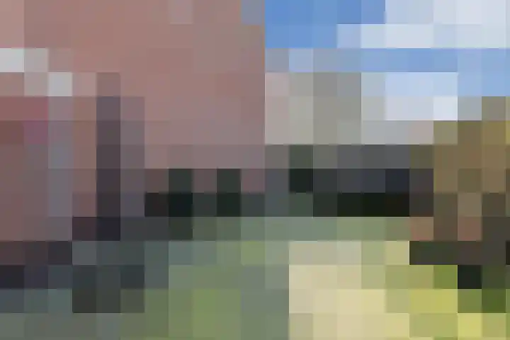 Renbaanstraat 25 Noordwolde thumbnail 4