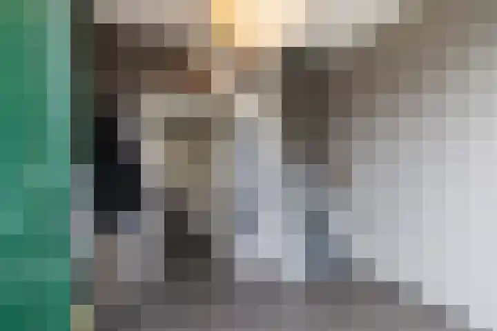 Renbaanstraat 28 Noordwolde thumbnail 5