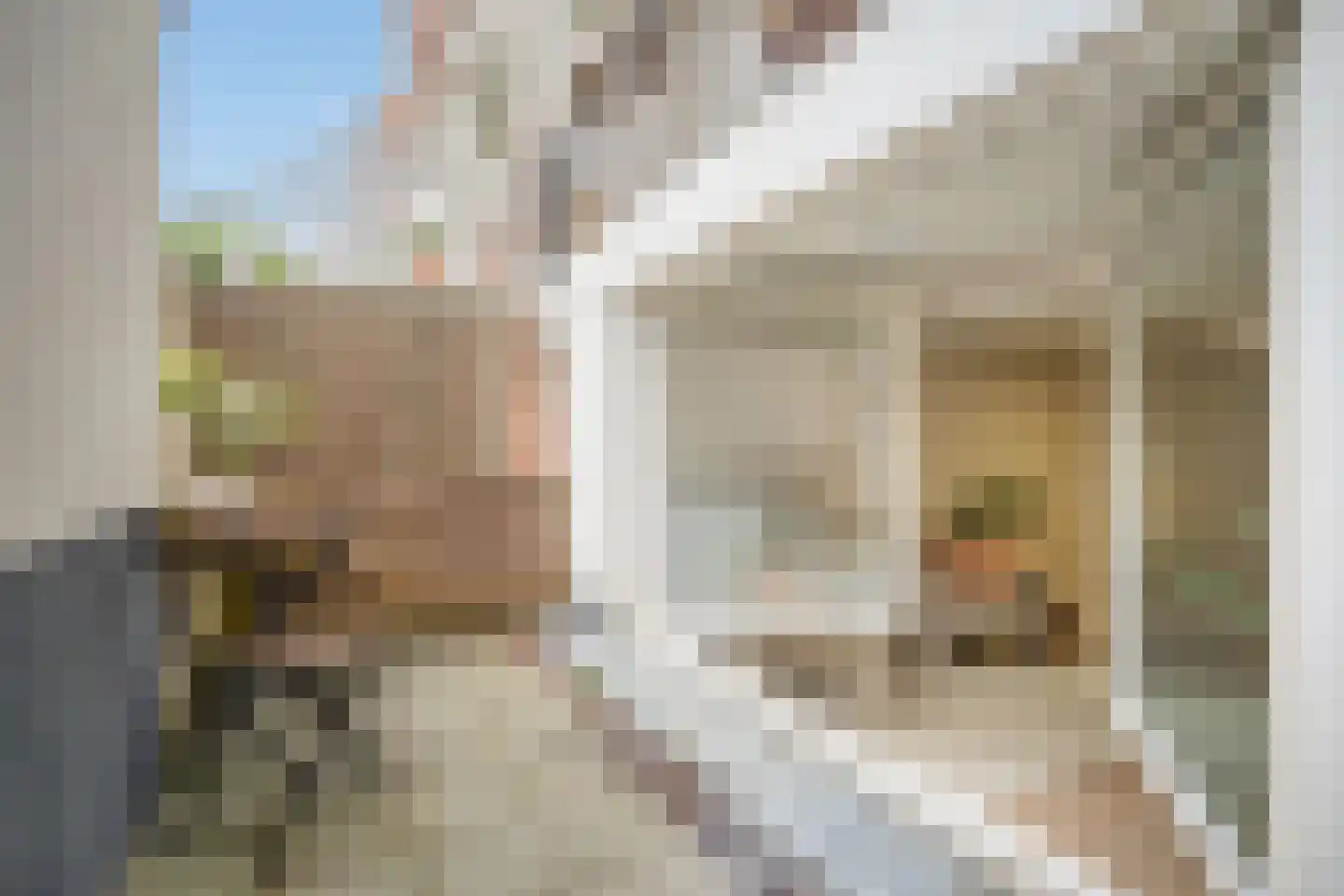 Renbaanstraat 33 A Den Haag thumbnail 4