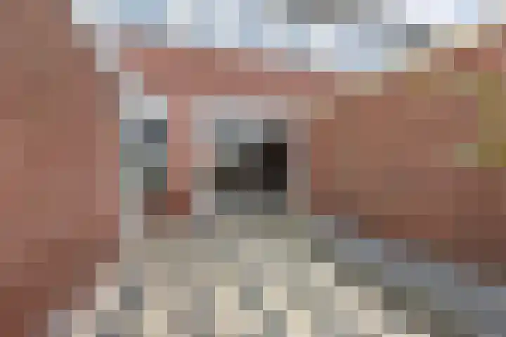 Renbaanstraat 38 Noordwolde thumbnail 33