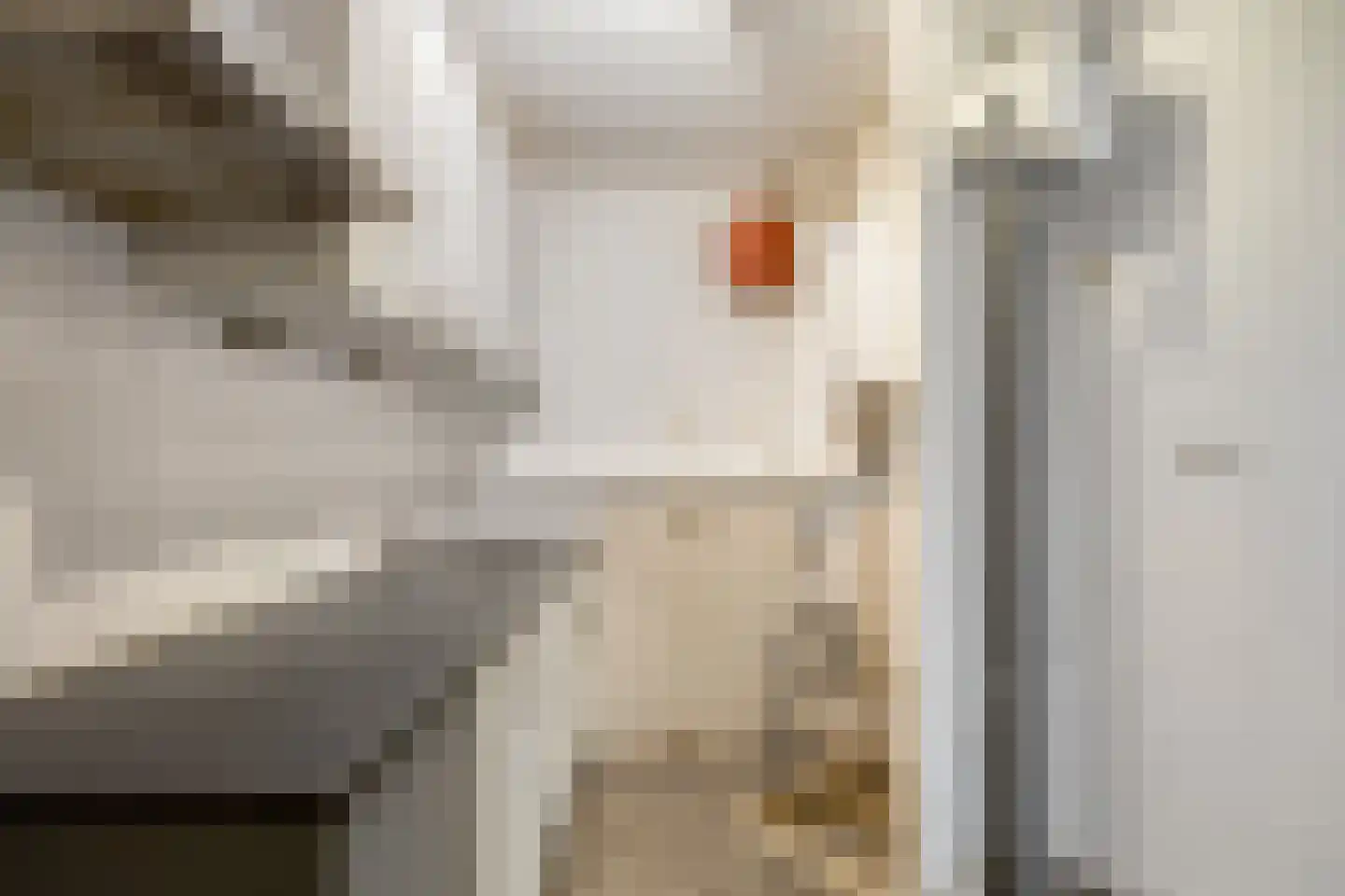 Renbaanstraat 87 Den Haag thumbnail 10