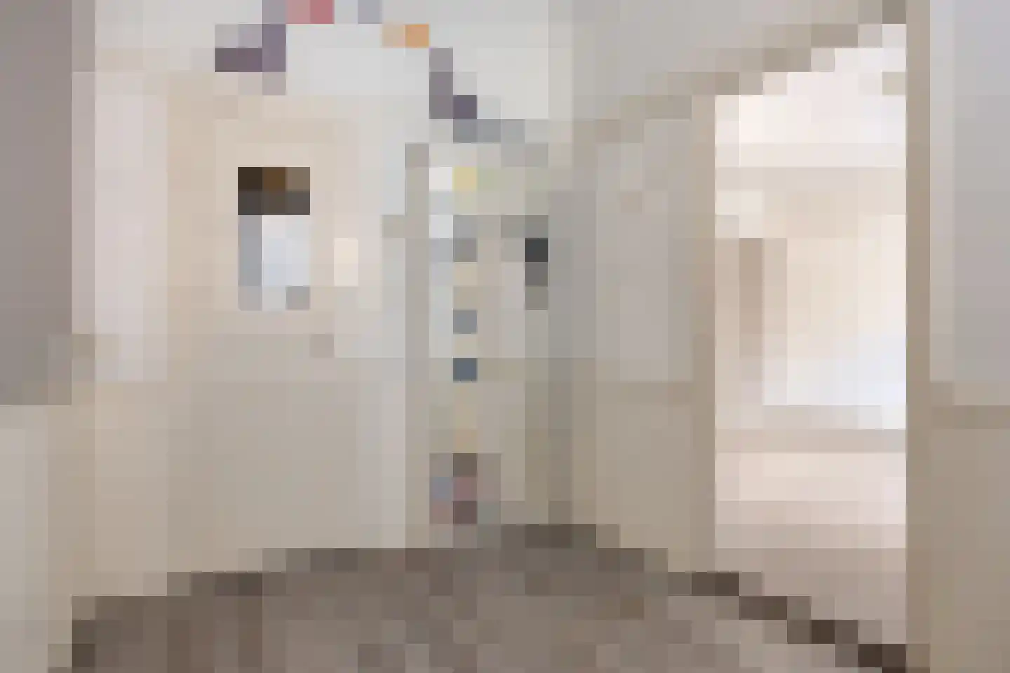 Renbaanstraat 87 Den Haag thumbnail 7