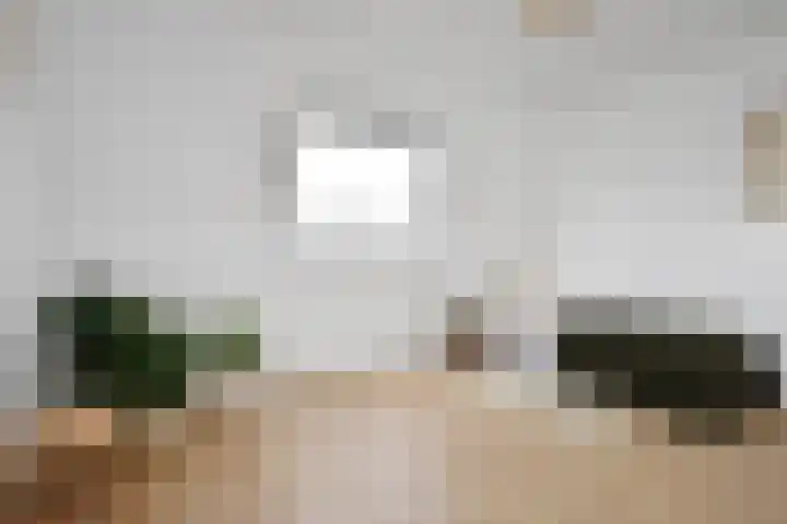 Renbaanstraat 91 Den Haag thumbnail 8
