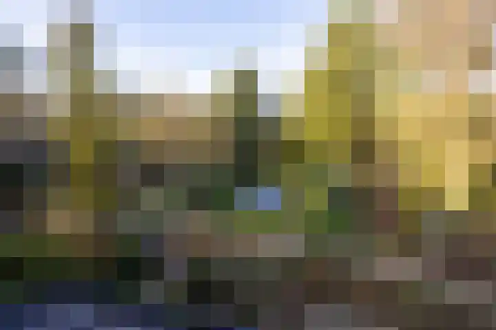 Renderklippenweg 7 Epe thumbnail 13